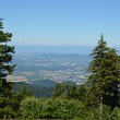 Schwarzwald 2022 - 037
